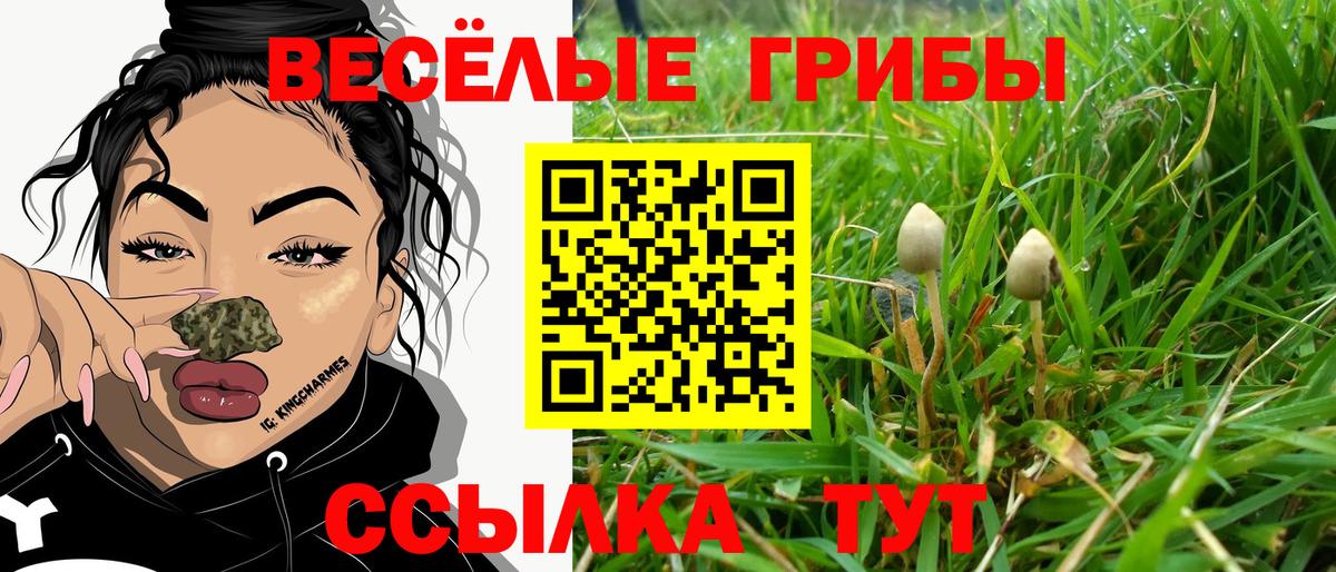 Галлюциногенные грибы Magic Shrooms Кумертау