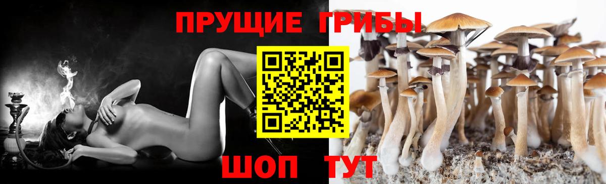 Кумертау  Галлюциногенные грибы Cubensis  Вход с VPN 